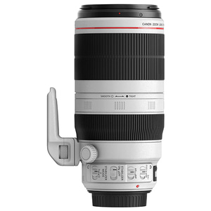 canon EF 100-400mm F4.5-5.6L IS Ⅱ USM